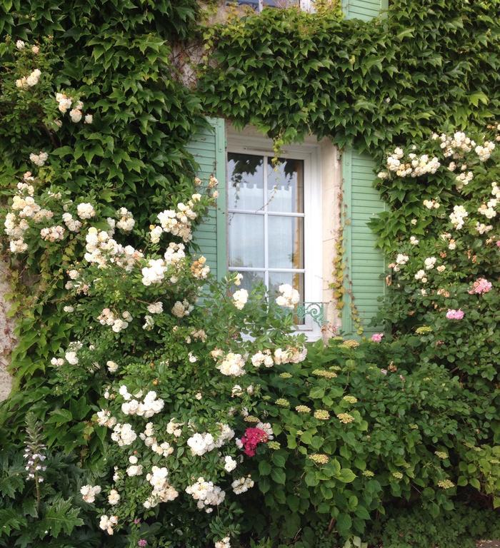 Le Clos Du Galion - Ile De Re Saint-Martin-de-Re ภายนอก รูปภาพ